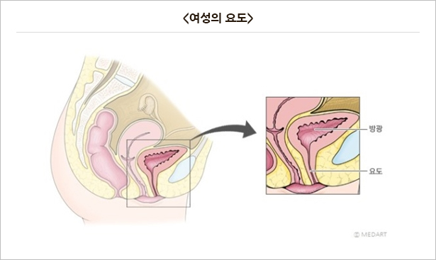 방광염배뇨장애클리닉소개 여성진료에 대한 모든 고민!! 이제 타워여성클리닉에서 모두 해결하세요