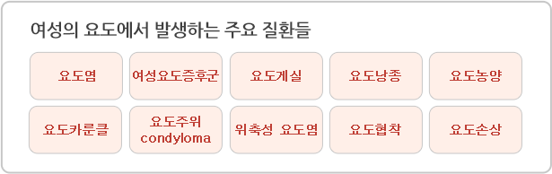 과민성방광은 의사들도 잘 모를 정도로 최근에 알려진 질환이지만, 여성의 40-60%이상이 과민성방광을 가지고 있고, 10%이상이 이로 인해서 심각한 불편을 겪을 정도로 흔한 질환입니다.