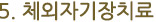 5.체외자기장치료