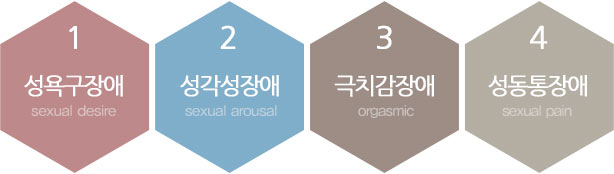 1.성욕구장애 2. 성각성장애 3. 극치감장애 4. 성동통장애