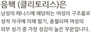 음핵 (클리토리스)은 남성의 페니스에 해당하는 여성의 구조물로 성적 자극에 의해 발기, 충혈되며 여성의 외부 성기 중 가장 성감이 높은 부분입니다. 